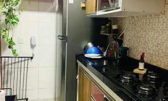 Imagem 4: DIADEMA - Padrão - Canhema