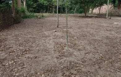 Imagem 2: Rancho na beira do Rio das Velhas