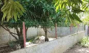 Imagem 3: Sítio em barra do pojuca