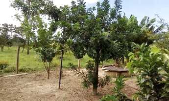 Imagem 6: Vendo Mini chácara 3 mil metros no Vale das Andorinhas, Novo Gama-GO