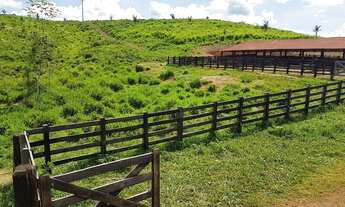 Imagem 2: Fazenda/Sítio/Chácara para venda tem 48000 metros quadrados com 4 quartos