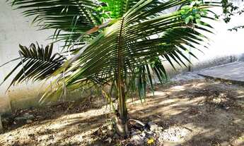 Imagem 5: Casa para venda com 300 metros quadrados com 5 quartos em Campo Grande - Rio de Janeiro