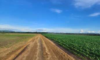 Imagem 6: Ótima fazenda de 520,00 hectares com ótima localização, em Nova Lacerda - MT