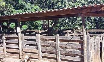 Imagem 7: Sítio à venda, 532400 m² por R$ 4.700.000,00 - Zona Rural - Caldazinha/GO