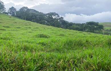 Imagem 2: LP- Terrenos demarcados e planos