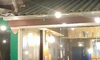 Imagem 5: Pub, bar, cervejaria microcervejaria brewoub