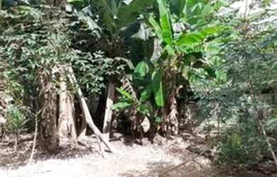 Imagem 7: Chacara com casa 6 cômodos