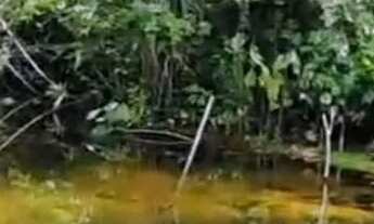 Imagem 2: Vende-se chácara c/ banho Próximo a Vila Recrear 40km de Boa Vista RR