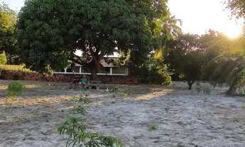 Imagem: Imóvel para venda possui 4443 metros quadrados