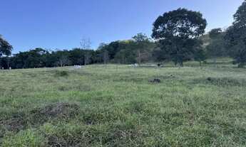 Imagem 5: Sítio em Itapuranga