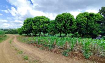 Imagem 4: Sítio à venda, 96800 m² por R$ 500.000,00 - Centro - Guaraniaçu/PR