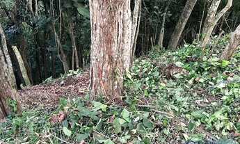 Imagem 7: TERRENO EM CONDOMÍNIO - ARUJAZINHO 1, 2, 3 - SP