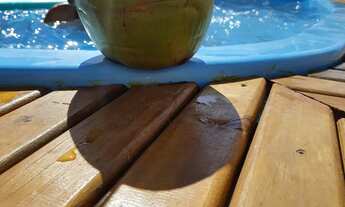 Imagem: Casa com kiosque e piscina