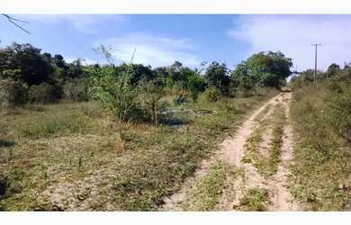 Imagem 7: FAZENDA PEDRA NO DISTRITO DE BOA UNIÃO - 25 TAREFAS DE TERRA - BR 110 - PORTÃO - ALAGOINHA