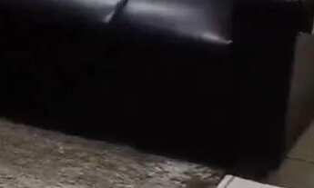 Imagem 4: VENDO OU ALUGO , APARTAMENTO 004 NO SOLAR MON JARDIM !