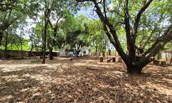 Imagem 6: Terreno à venda no Parque Planalto, amplo, plano e ideal para investidores ou projetos per