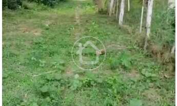 Imagem 7: SITIO COM 10 HECTARES - REGIÃO DO SUCURI