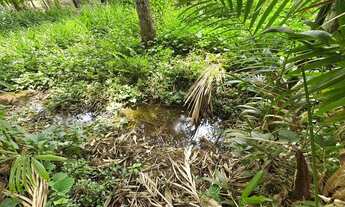 Imagem: Chàraca com casa em terreno de 3000m2 murada