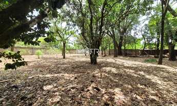 Imagem 5: Terreno à venda no Parque Planalto, amplo, plano e ideal para investidores ou projetos per