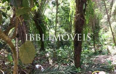 Imagem 6: Terreno Com 550M² No Alto Da Lagoa