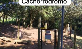 Imagem 7: Apartamento no bairro Campo Novo - 2 dormitórios