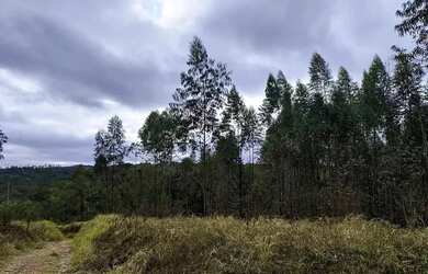 Imagem 3: TERRENOS EM COTIA PRÓXIMO À RAPOSO!