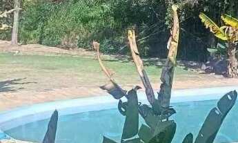 Imagem: SERRA NEGRA, CHÁCARA NO BAIRRO DAS POSSES