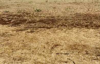 Imagem 3: Terreno à venda, 487,65 m² por R$ 1.060.000 - Reserva Santa Luisa - Ribeirão Preto/SP