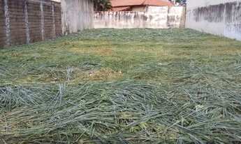 Imagem: Terreno Cidade Universitária