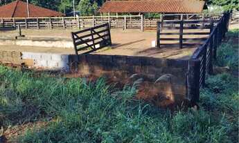 Imagem 3: Fazenda dupla aptidão em Uberlândia