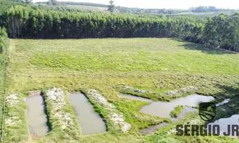 Imagem 4: Sítio com 2,2ha, casa/galpão rústico e açudes em Triunfo