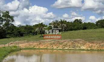 Imagem 6: Fazenda 21,5 alqueires (104,06 hectares) São Luis de Montes Belos - Go