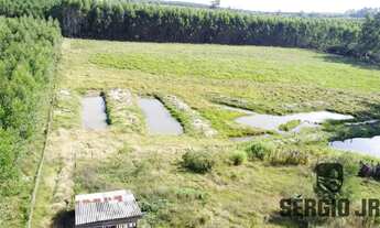 Imagem 3: Sítio com 2,2ha, casa/galpão rústico e açudes em Triunfo