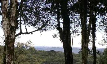 Imagem: Lote em condomínio em Av Borges de Medeiros