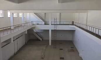 Imagem 6: Galpão - Ramos - 500 m2 - Cód. 1742