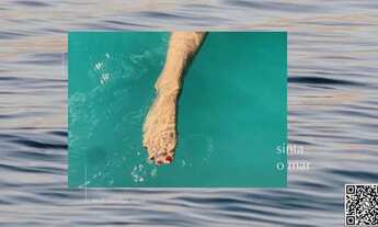 Imagem 3: JAPARATINGA - APARTAMENTO 66 m² sendo 2 quartos a beira mar