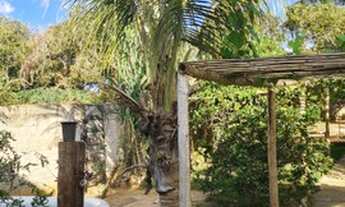 Imagem 7: Chácara com casa em Azurita/Mateus Leme