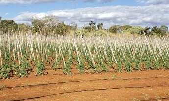 Imagem: Chácara Medindo 10.000 m², Por apenas