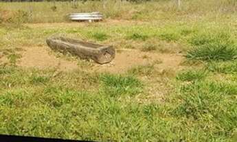 Imagem 4: Fazenda para venda com 98 alqueires em Barra dos Garças -Mt