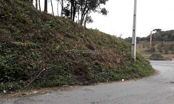 Imagem 4: Area de terreno a venda