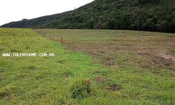 Imagem 5: Área Rural para Venda em Tamarana, Zona Rural