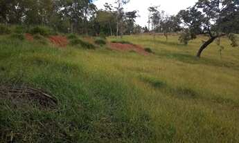 Imagem 2: Terreno 40 mil metros com lago e luz