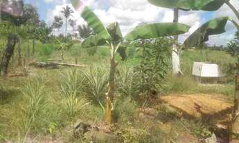 Imagem 3: Vendo chácara Chácara com venda por R$28.000