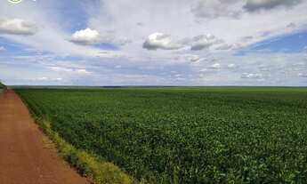 Imagem 7: FAZENDA À VENDA EM PARANATINGA - MT - 8.000 HECTARES (DUPLA APTIDÃO