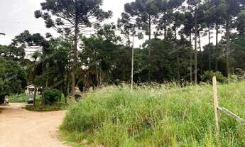 Imagem 7: Excelente Chácara Sem Benfeitorias