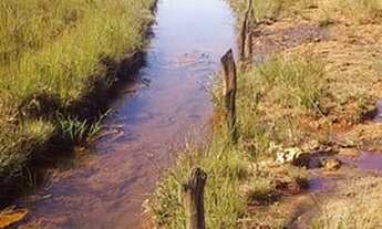Imagem 2: Fazenda para venda com 98 alqueires em Barra dos Garças -Mt