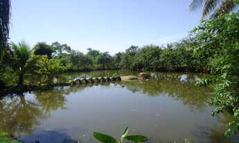 Imagem 2: Leia o Anúncio- imagem ilustrativa