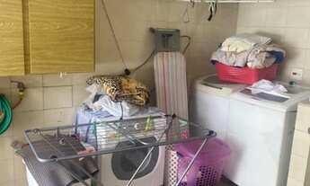 Imagem 7: CASA RESIDENCIAL em São Paulo - SP, Vila Cruzeiro