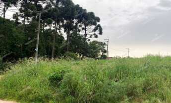 Imagem 2: Excelente Chácara Sem Benfeitorias