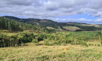 Imagem 3: Sitio 15 alq Fazenda / sítio com venda por R$2.200.000